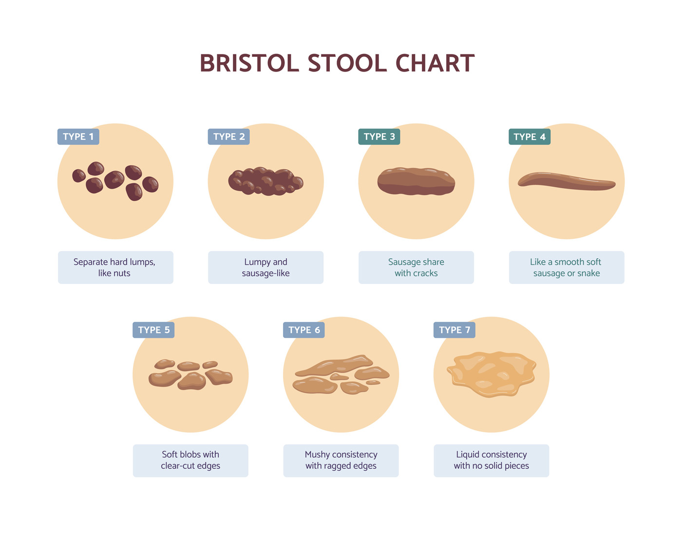 bristol poop chart